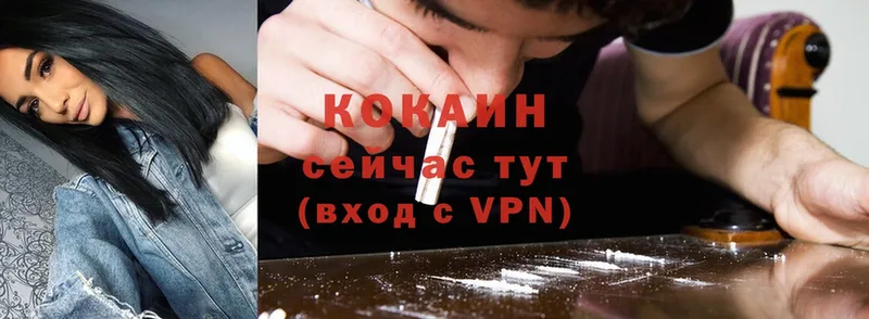 КОКАИН VHQ  Камышлов 